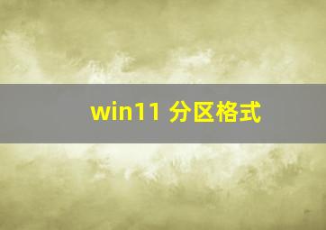 win11 分区格式